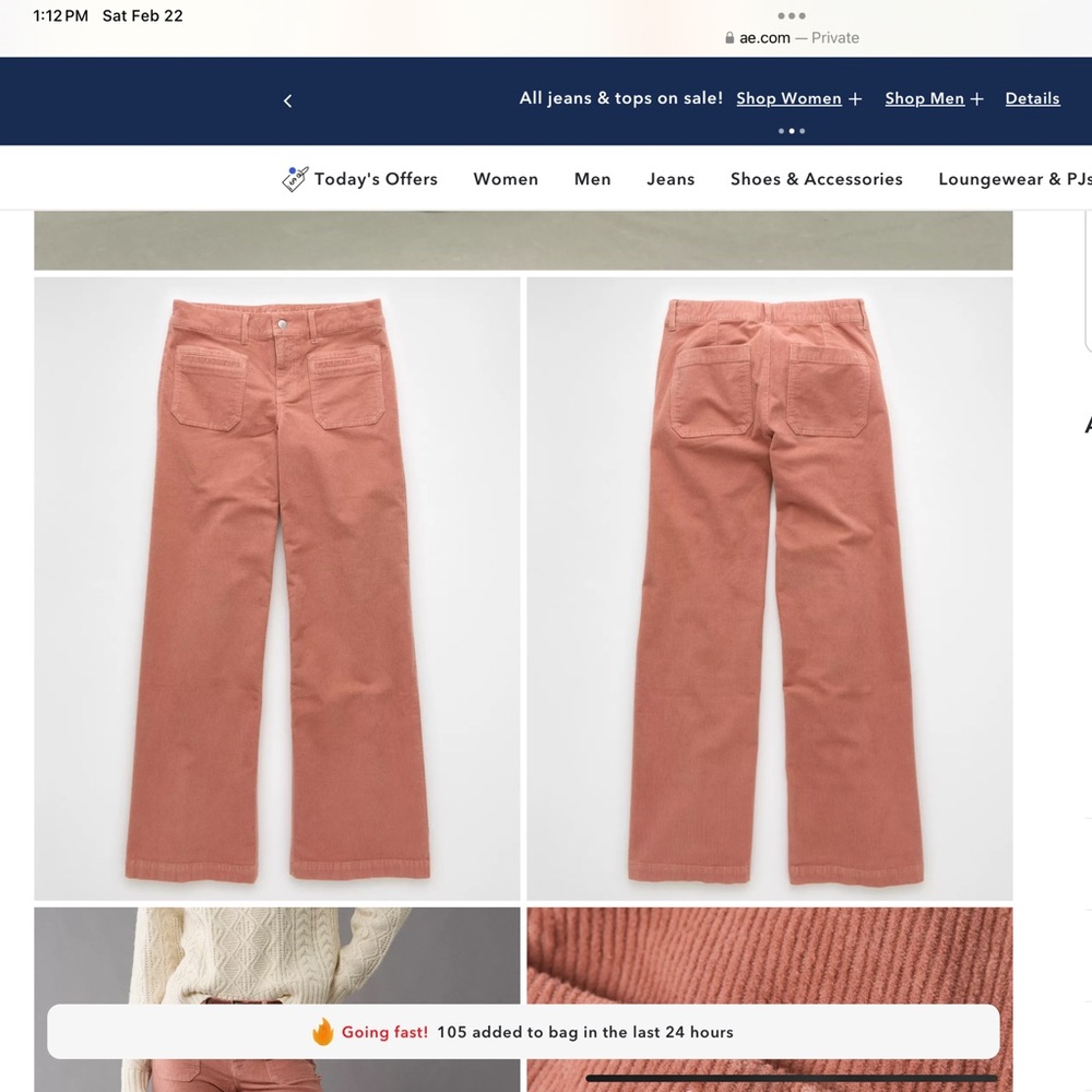American Eagle Low-Rise Baggy Wide Leg Pants 14R NWT